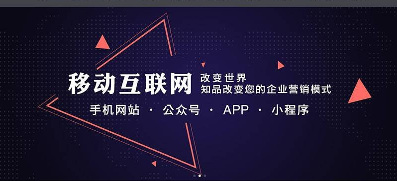 东山手机网站